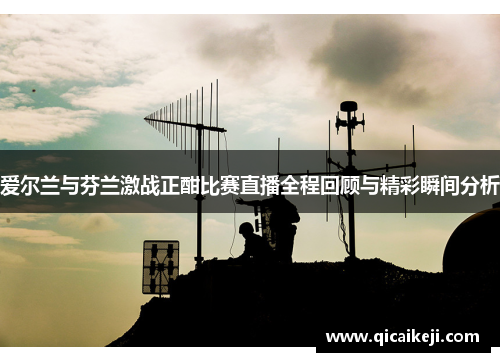爱尔兰与芬兰激战正酣比赛直播全程回顾与精彩瞬间分析