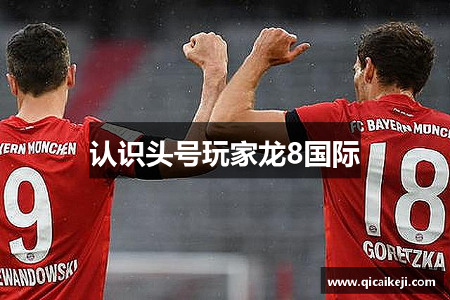 认识头号玩家龙8国际